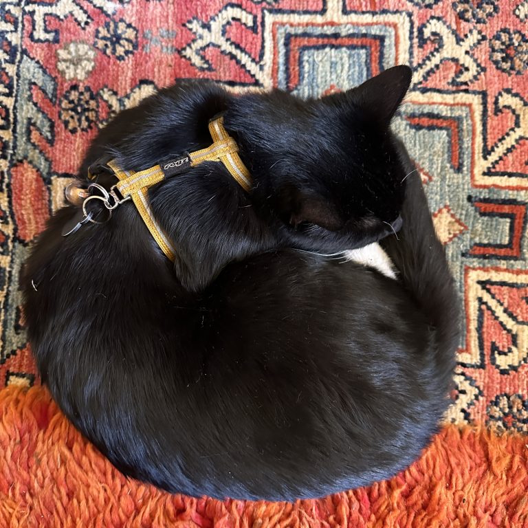 self-care